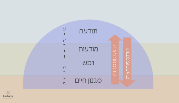 קבלת טיפול בשיטת LTT Screen-Shot-2023-11-30-at-17.19.08
